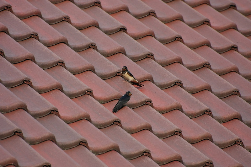 Illustration for article titled Let a Good Quality Completely Nw Roof Protect Your Investment in Your Hous